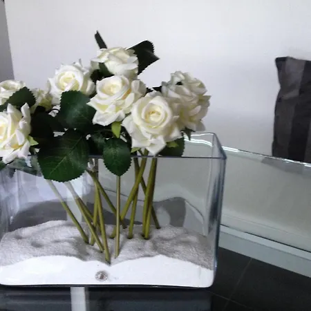 Vista Del Cupolone アパート ローマ